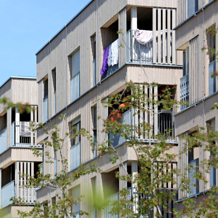 Wood hybrid buildings in the Ecological Model Settlement