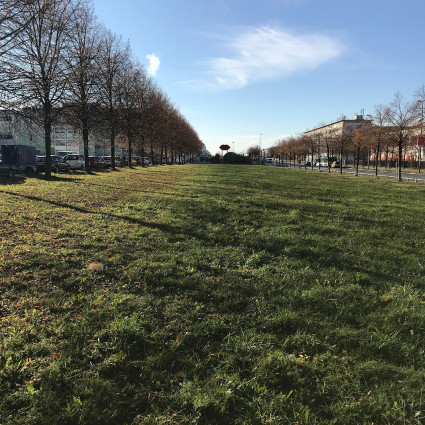 View of the green strip along Willy-Brandt-Allee in west direction, 2020