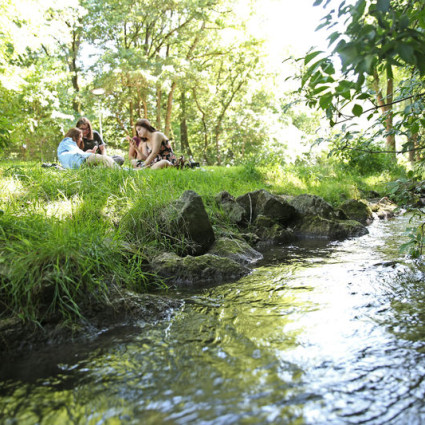 Der Hachinger Bach bietet Raum zum Picknicken, …