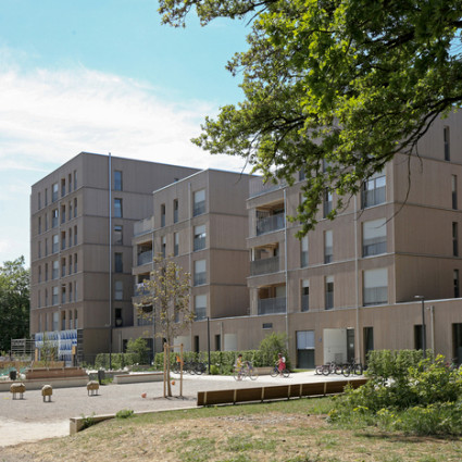 Rückansicht der „Münchner Wohnen“-Häuser vom Waldrand aus, 2021