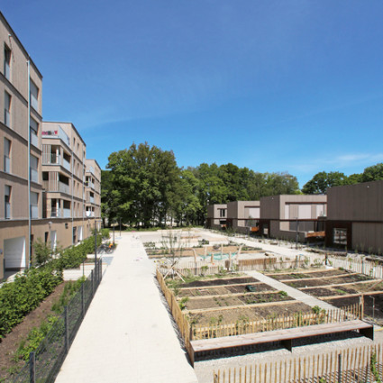 Auf dem zentralen Dorfplatz zwischen den Häusern der „Münchner Wohnen“ und der Baugemeinschaft Team³ gibt es einen Spielplatz und Gemüsegärten.