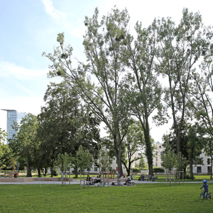 The public park is the centrepiece of Domagkpark.