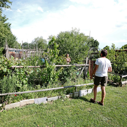 Growing vegetables in the multi-cultural-residents' garden, 2017
