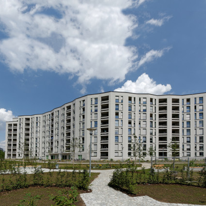 Das neue Wohngebiet an der Carl-Wery-Straße, 2019