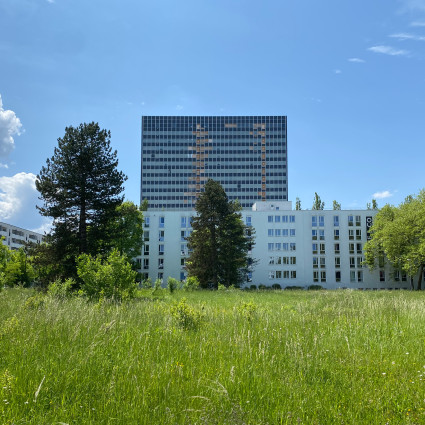 Dort, wo künftig die neuen Wohngebäude stehen werden, war im Sommer 2023 noch grüne Wiese. Im Hintergrund das Siemens-Hochhaus und das Studentenwohnheim.