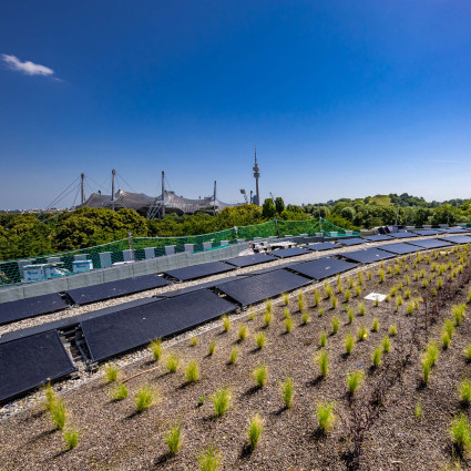 Begrünung und Photovoltaik auf dem Dach des SAP Garden