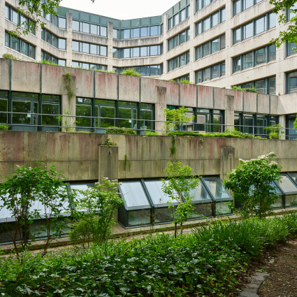 Blick von der Albert-Schweitzer-Straße zum ehemaligen Allianz-Areal, 2023
