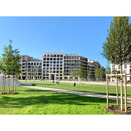 New development area with park on Hochstrasse, 2024