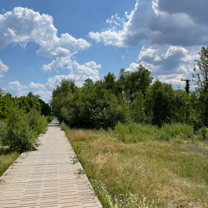 Der Landschaftspark kann über Stege erkundet werden.