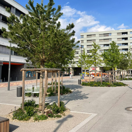 Der Quartiersplatz bietet schattenspendende Bäume, Sitzgelegenheiten und Brunnen.