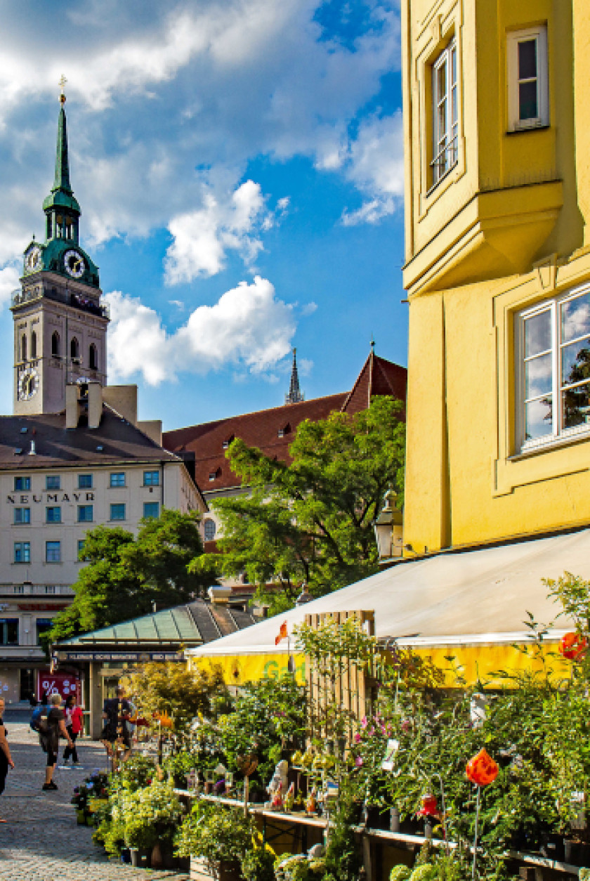 Auf diesem Foto sieht man einen Blick auf den Viktualienmarkt. Rechts im Bild sieht man einen Teil eines gelben Hauses. Unten vor dem Haus ist ein Blumenstand zu sehen mit verschiedenen Pflanzen. Links im Hintergrund ist der Turm des Alten Peters über den Dächern zu sehen und davor sind Häuser.